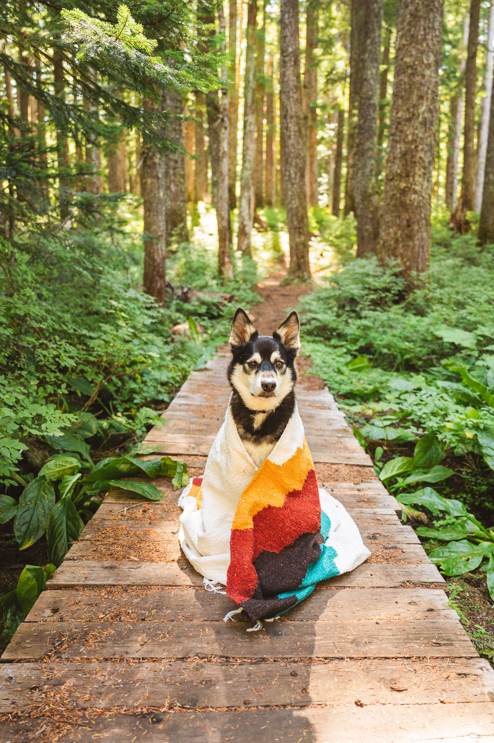 Mt Hood Adventures at Lost Lake