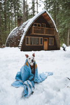 Dog wrapped in blue handwoven mexican blanket in the snow by a cabin