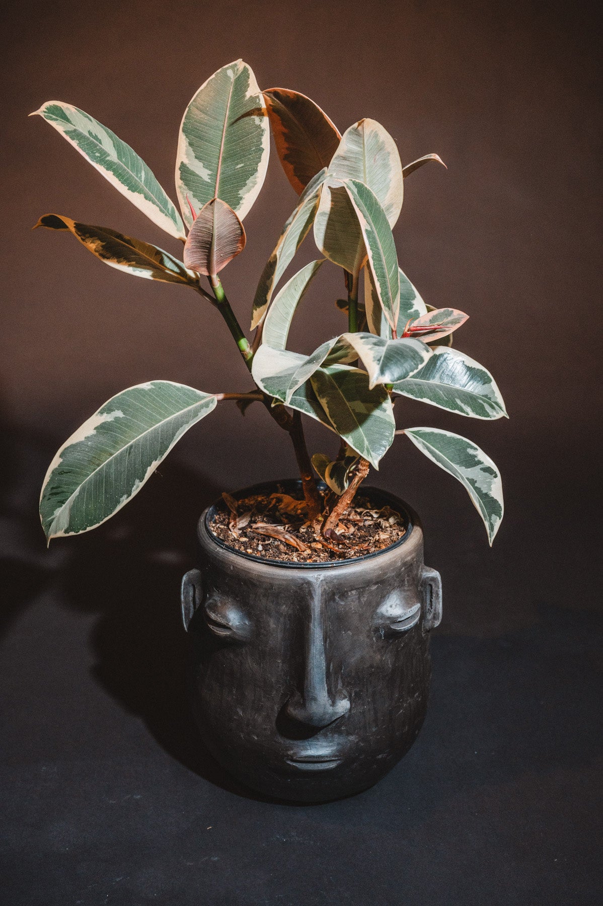 Barro Negro in Oaxaca planters - macetas with faces