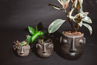 Handmade oaxacan black clay planters with plants sitting inside them on a black background