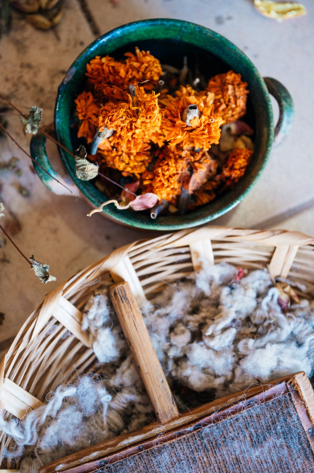 Natural dye for wool in Teotitlan Del Valle Oaxaca