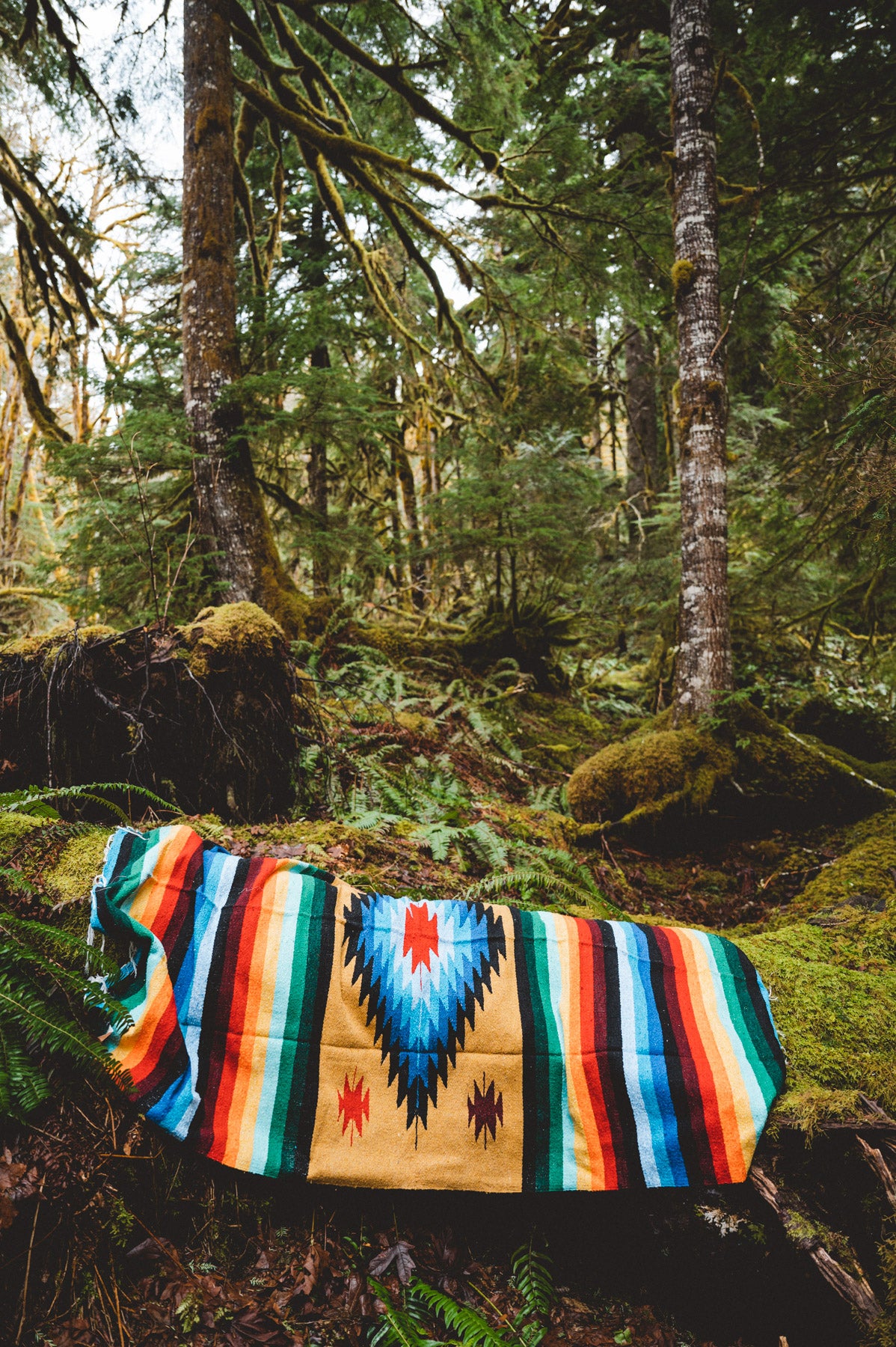 Rainbow Diamond handwoven blanket in the forest